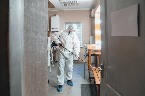 Why You Should Choose Our Mold Remediation Services in Herricks, NY